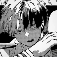 Shoto Todoroki