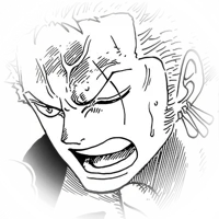 OP    Zoro