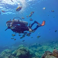 034-Scuba diver