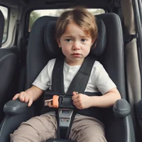 Baby Activity center