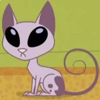 Kat