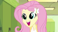 Fluttershy