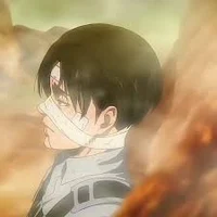 Levi Ackerman 