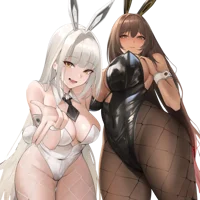 Noir and Blanc Nikke