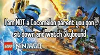 Ninjago Skybound