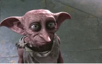 Dobby 