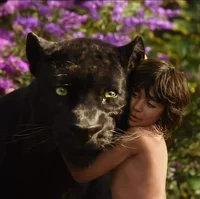 The Jungle Book