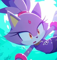Blaze the Cat
