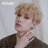Bang Chan 
