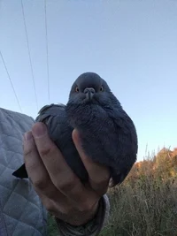 006 - Margaret Eilan