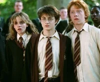 THE TRIO - harry