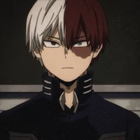 Shoto Todoroki