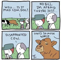 Dandys World X Doors