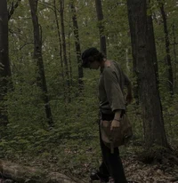 Forest adventure-MLM