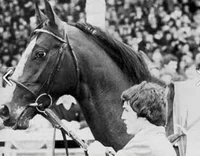 Shergar