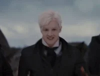 Vladimir - Twilight