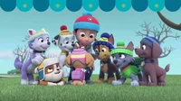 Paw Patrol as humans