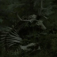 Urbex Horror