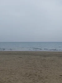 Vasiliki