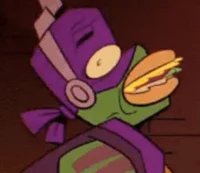 ROTTMNT Donnie