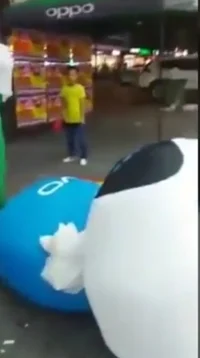 Little V Laying Down