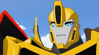 Bumblebee-RID