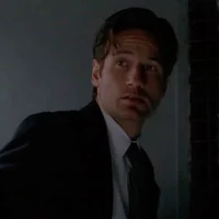 Fox Mulder