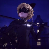 cat noir