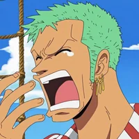 Zoro Roronoa PT