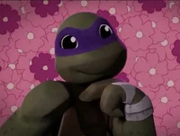 Donatello Hamato
