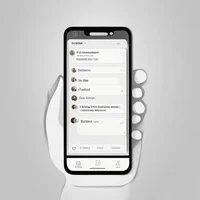 Anime fan group chat