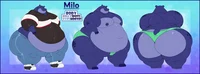 Milo The Big Hippo