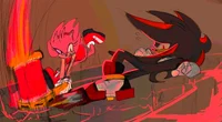Amy vs Shadow