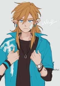 BOTW l Link