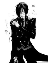 Sebastian Michaelis 