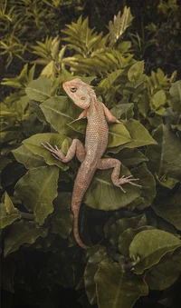 @ClownEscLizardLambs - Character AI chatbot creator profile picture
