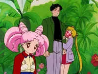 Usagi and Mamoru 