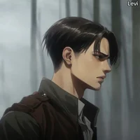 Levi Ackerman 