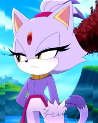 Blaze the cat