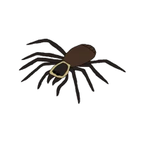 Queen Trap Spider-HH