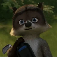 Rj raccoon