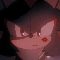 Shadow the hedgehog