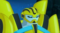 Bumblebee recue bot