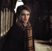 Cedric Digory 