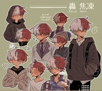 Shoto Todoroki 