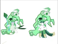 Stari Emerald Cookie