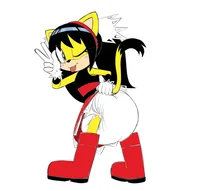 A Diapered Honey Cat