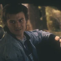 steve harrington 