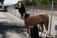 Hitchhiker Centaur