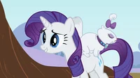 Rarity